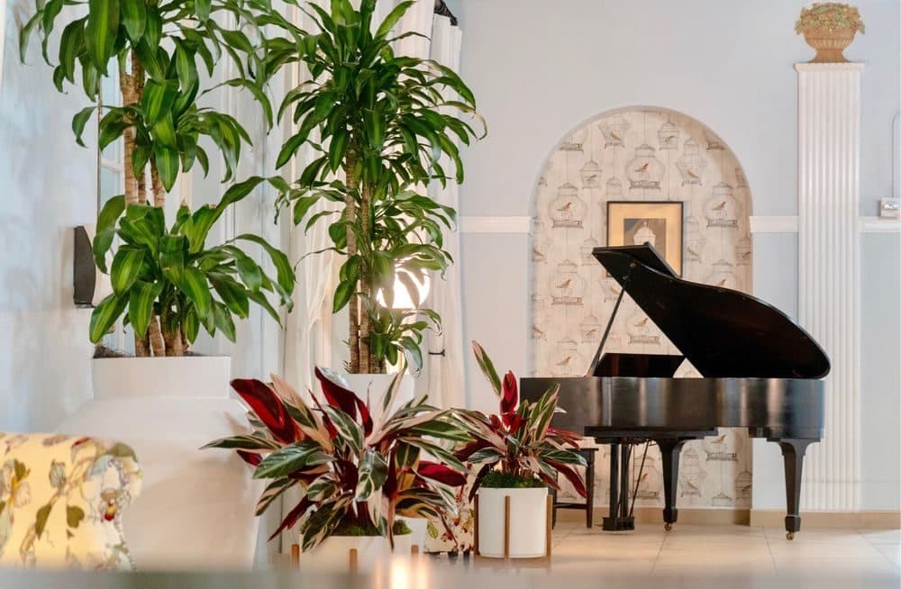 Live music in the parlor