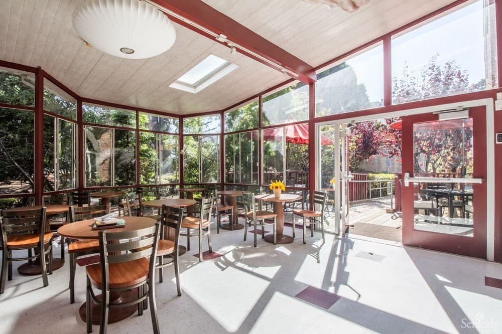 The sunroom, full of plants and natural light